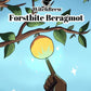 Frostbite Bergamont